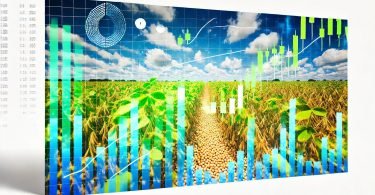 Soybean Spread Betting