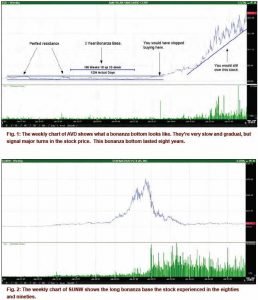 Manipulation - Stock Market Bonanza