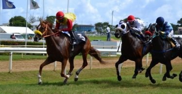 Horse Racing